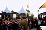 Summer Fair_049_1