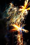 Summer Fair_215
