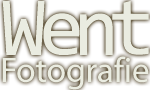 Logo Went Fotografie